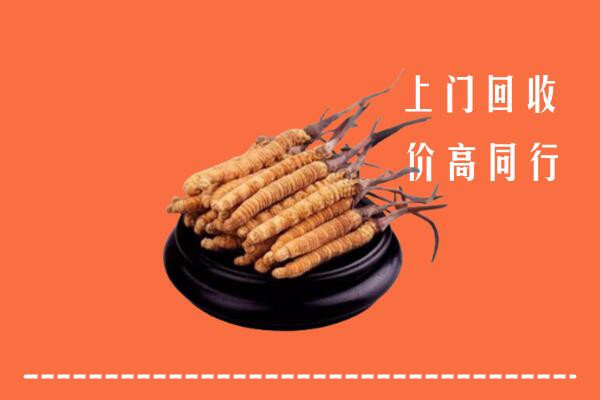 高价求购：柳州回收散虫草