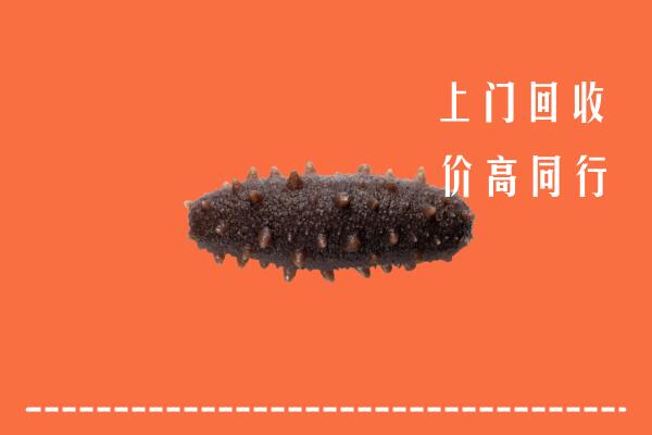 高价求购：柳州回收海参